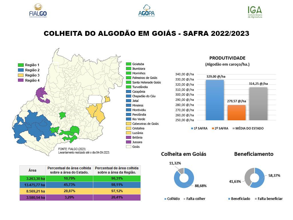 COLHEITA ALGODÃO 4 9 2023 COM PRODUTIVIDADE