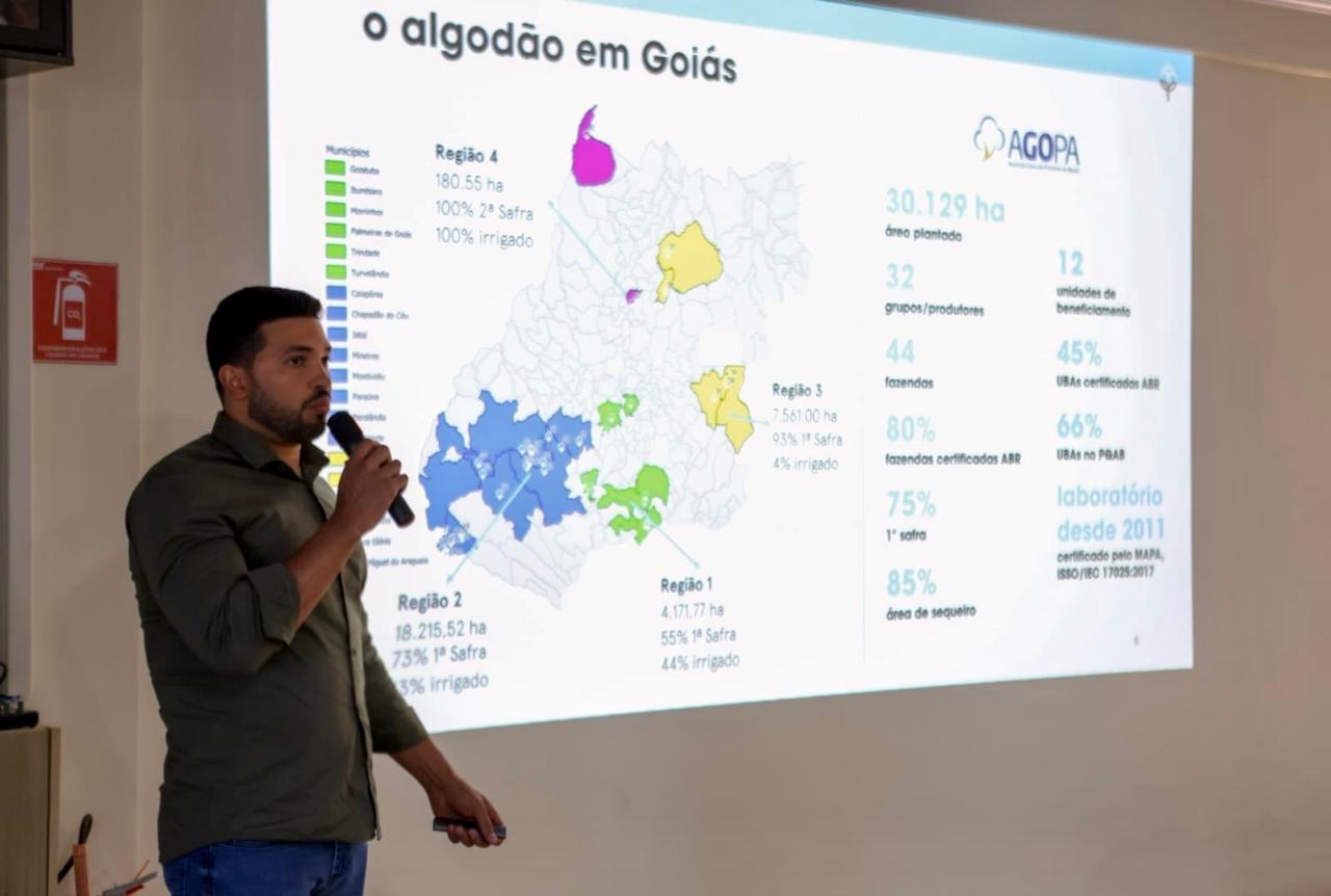 COTTON TRIP APRESENTAÇÃO RAUL5