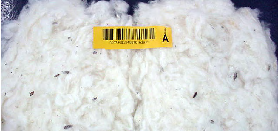 Captura de tela 2025 10 31 165233