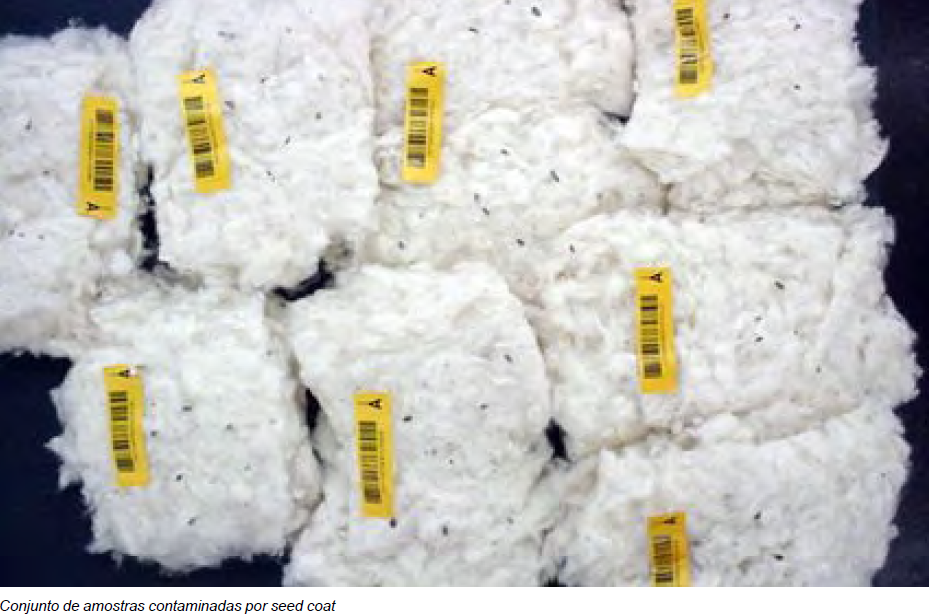 Captura de tela 2025 10 31 165620