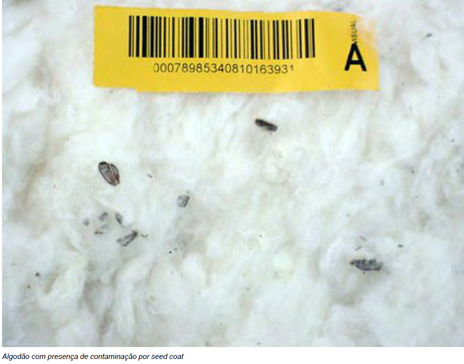 Captura de tela 2025 10 31 165859