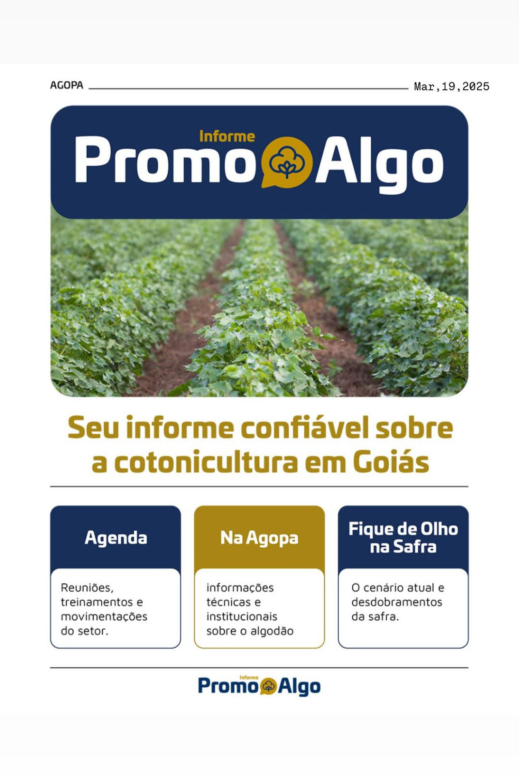 capa site promo 